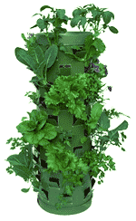 patio garden example